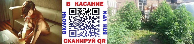 Наркотические вещества Высоцк Бошки Шишки  Cocaine  Псилоцибиновые грибы  ГАШ  Alpha-PVP 