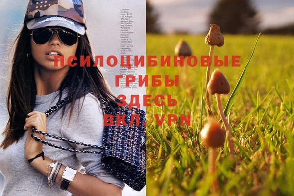 стафф Белоозёрский