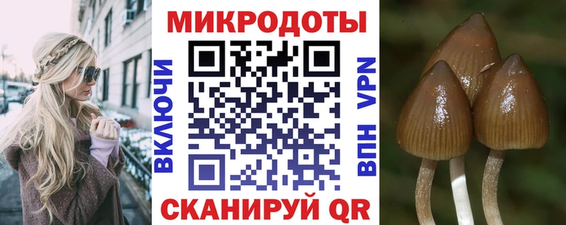 OMG ССЫЛКА  Высоцк  даркнет официальный сайт  Псилоцибиновые грибы Psilocybe 